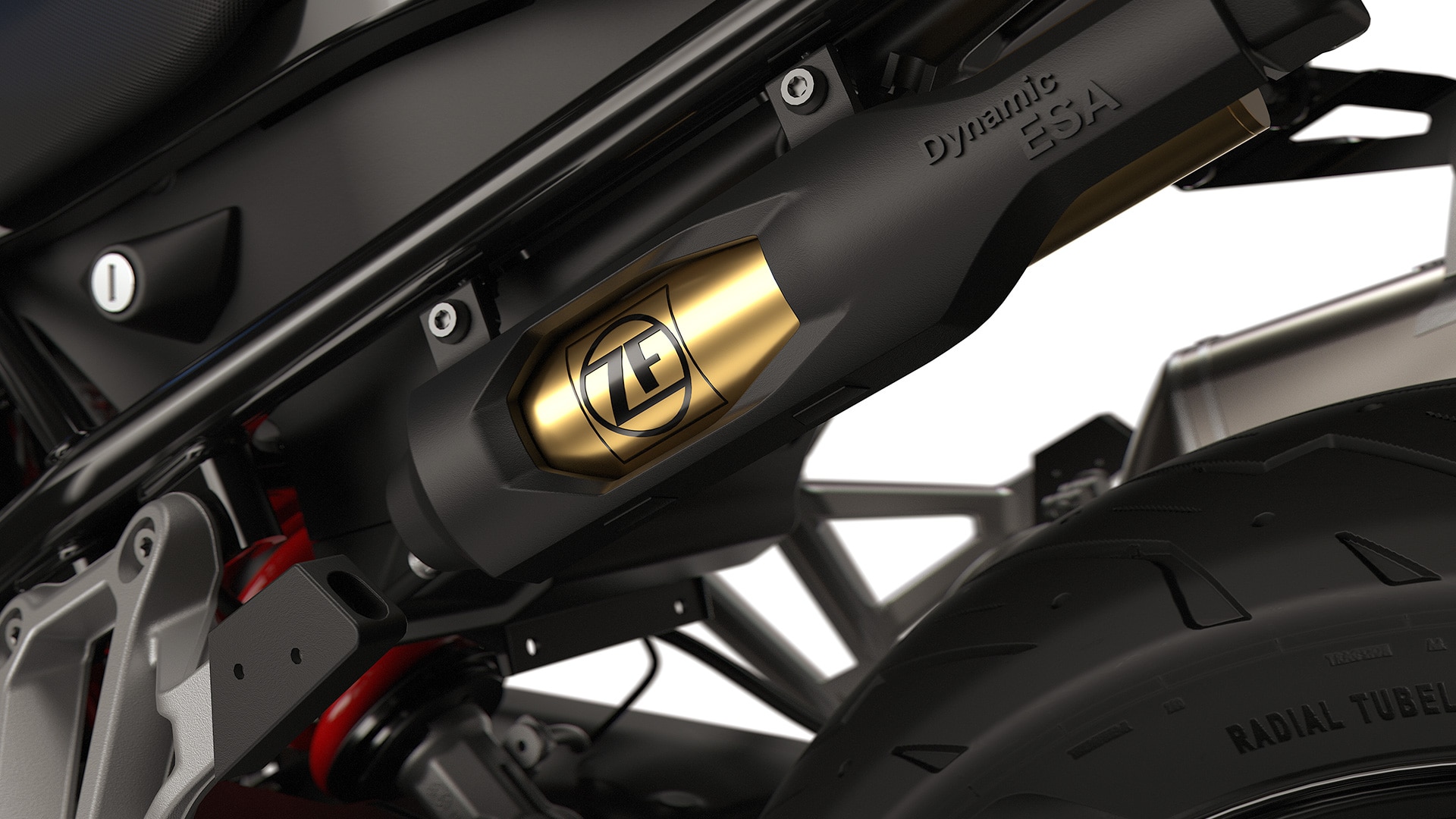 Dynamic ESA w F 800 GS